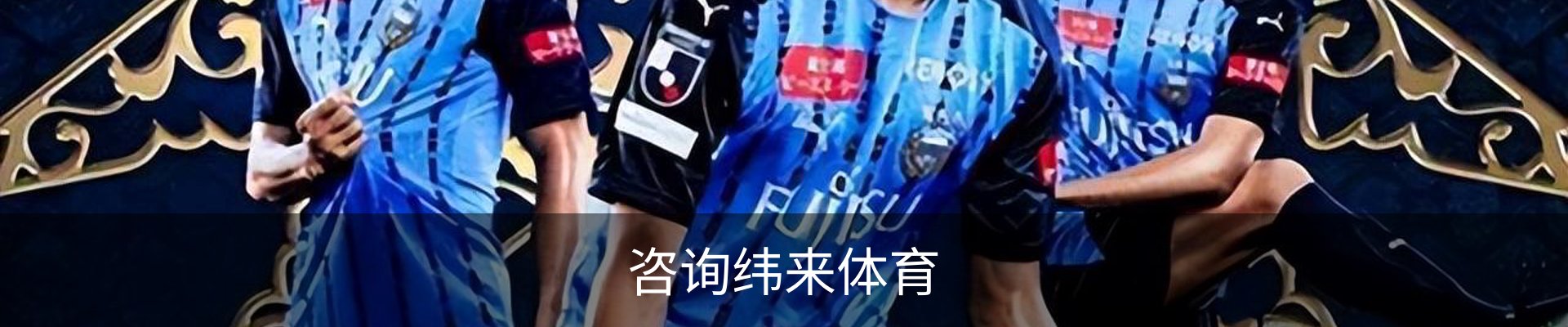 咨询纬来体育