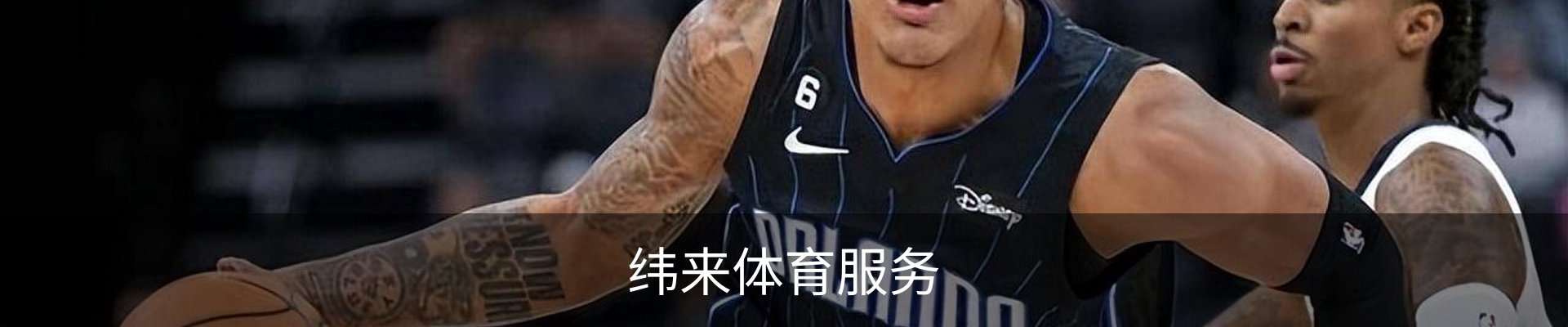 纬来体育服务