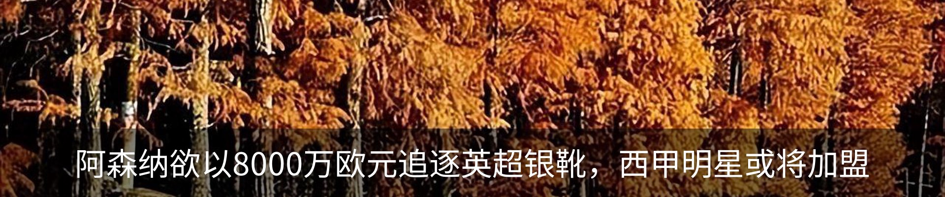 热点资讯